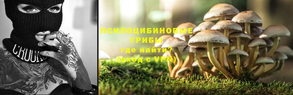 альфа пвп Богданович