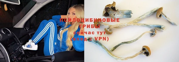 гидра Богородск
