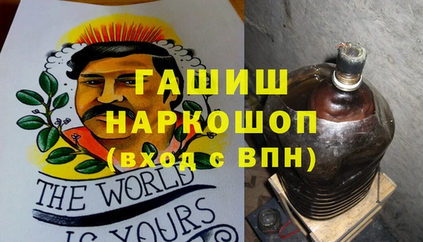 гидра Богородск