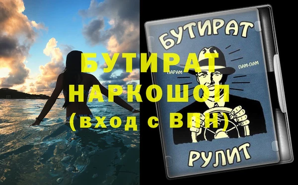 гидра Богородск