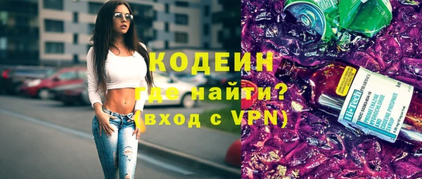 гидра Богородск