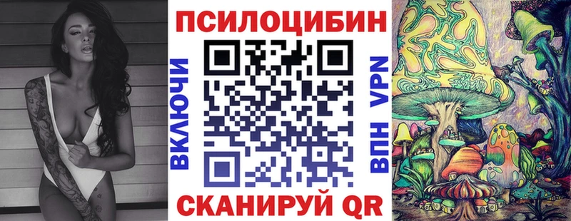 дарк нет наркотические препараты  Спас-Деменск  Галлюциногенные грибы GOLDEN TEACHER 