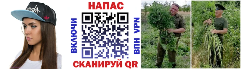 Каннабис White Widow Спас-Деменск